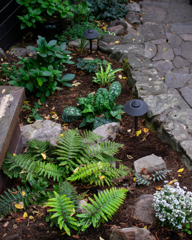 Plantscape Design WA (1)