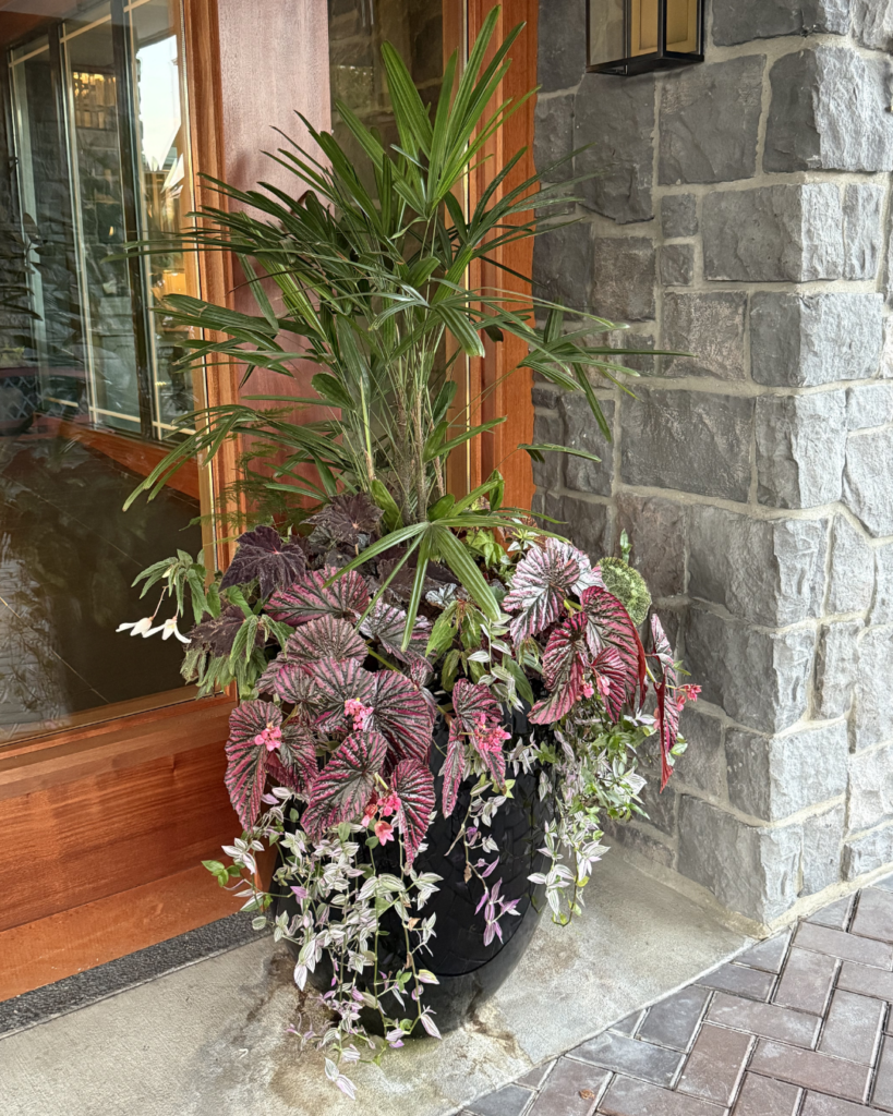 container gardening WA