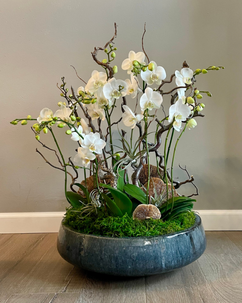 hotel bellwether landscaping WA