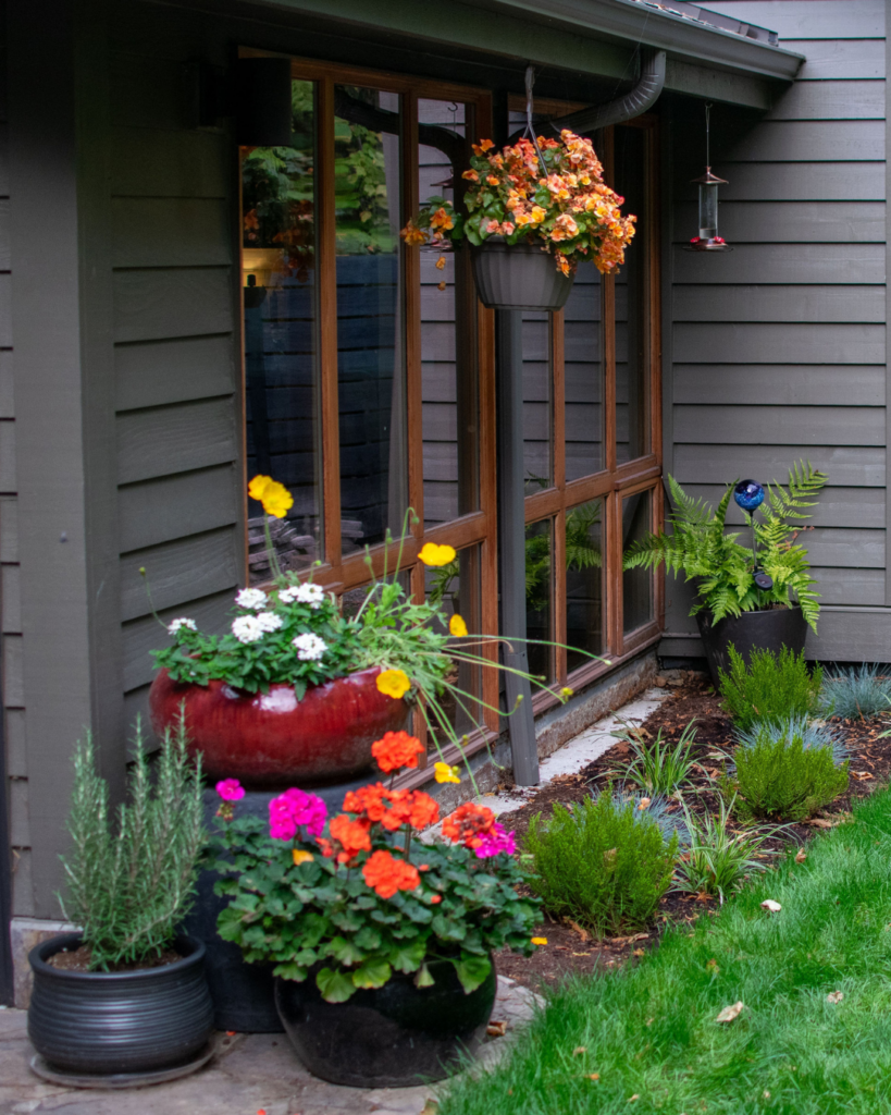 plantscape design WA (1)