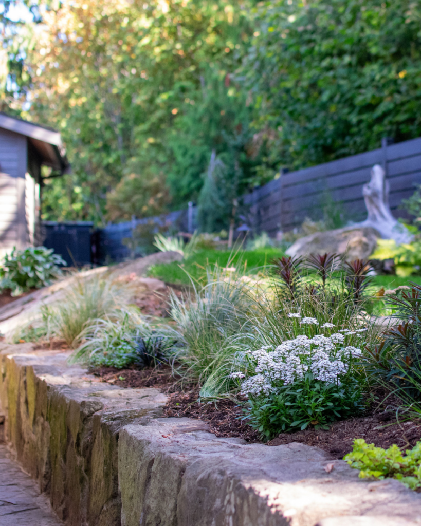 plantscape design WA (11)