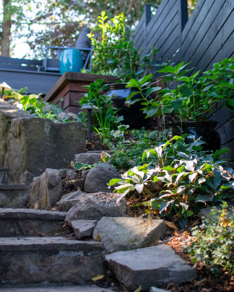 plantscape design WA (2)