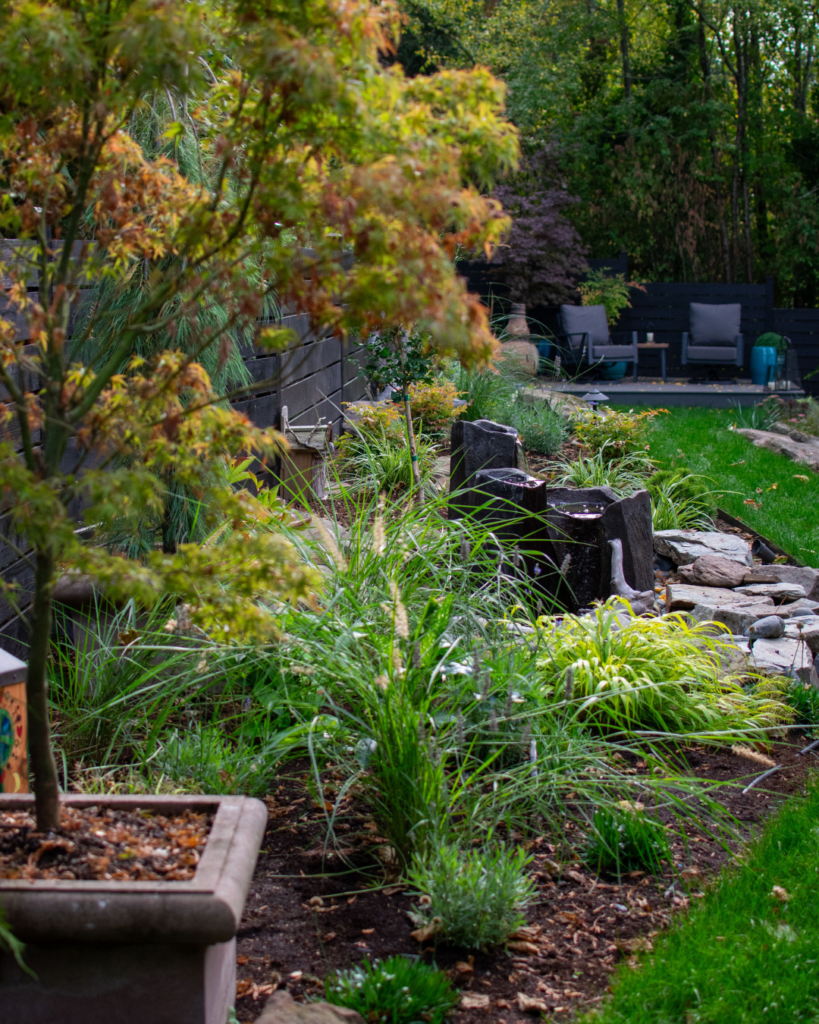 plantscape design WA